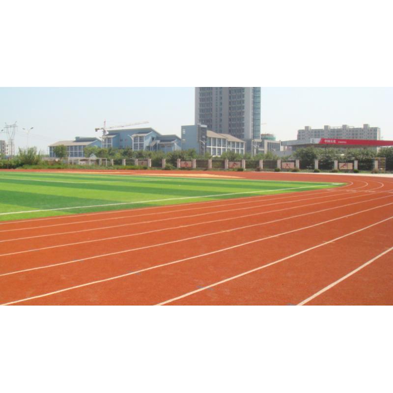 塑胶跑道造价，各种类型塑胶跑道价格