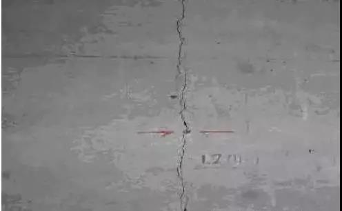 103.jpg