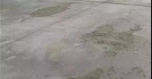 106.jpg